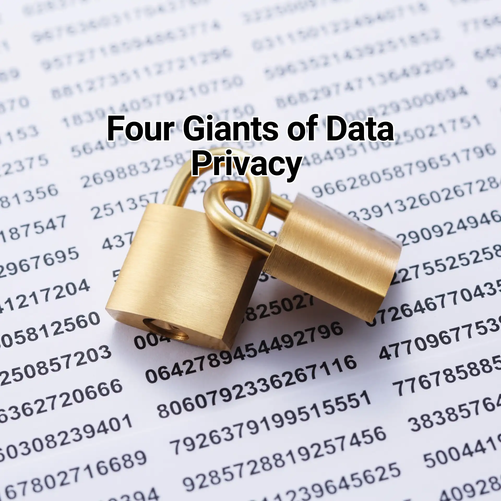 The Four Giants of Data Privacy
